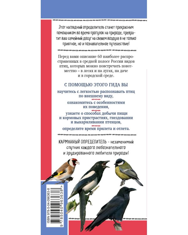 Птицы России. Наглядный карманный определитель (для ПР)