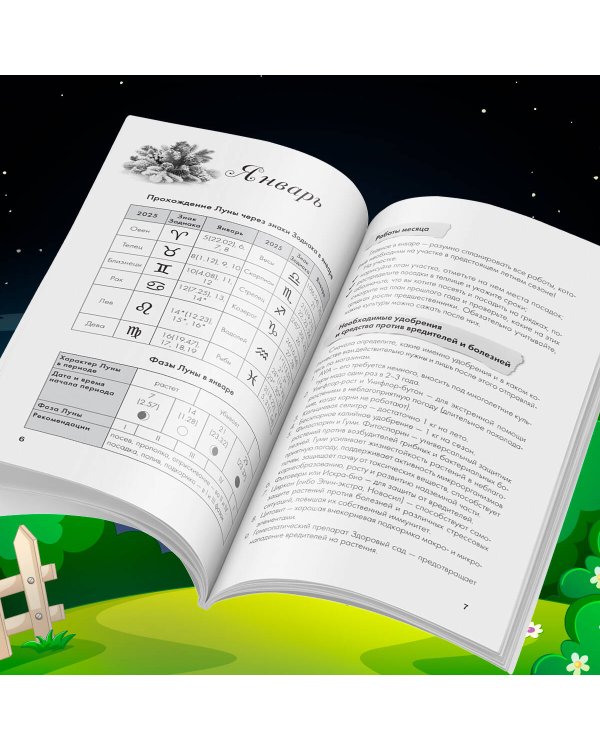 Лунный посевной календарь для любимых дачников 2025 от Галины Кизимы