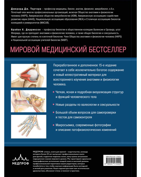 Анатомия. Физиология. Фундаментальные основы. 15-е издание