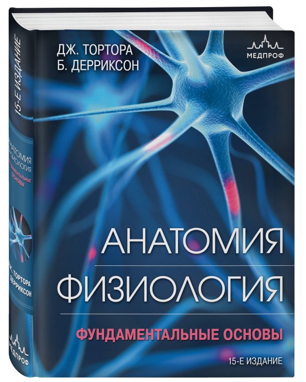 Анатомия. Физиология. Фундаментальные основы. 15-е издание