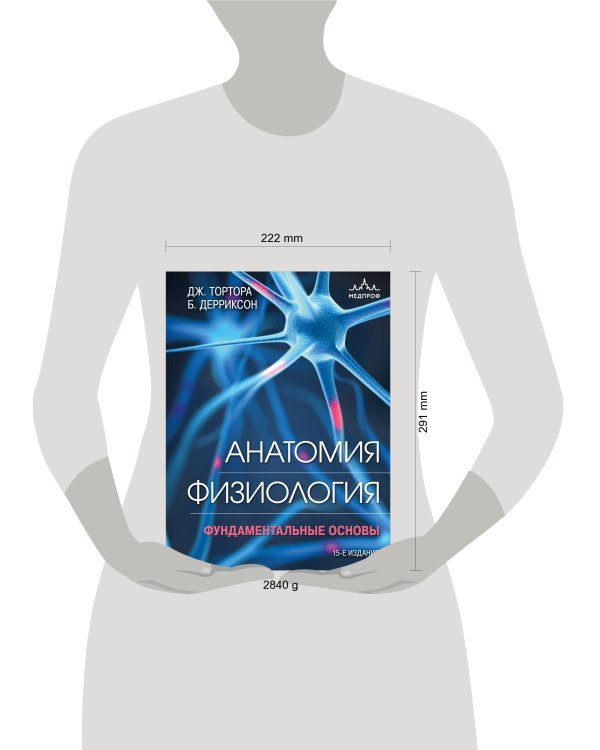 Анатомия. Физиология. Фундаментальные основы. 15-е издание