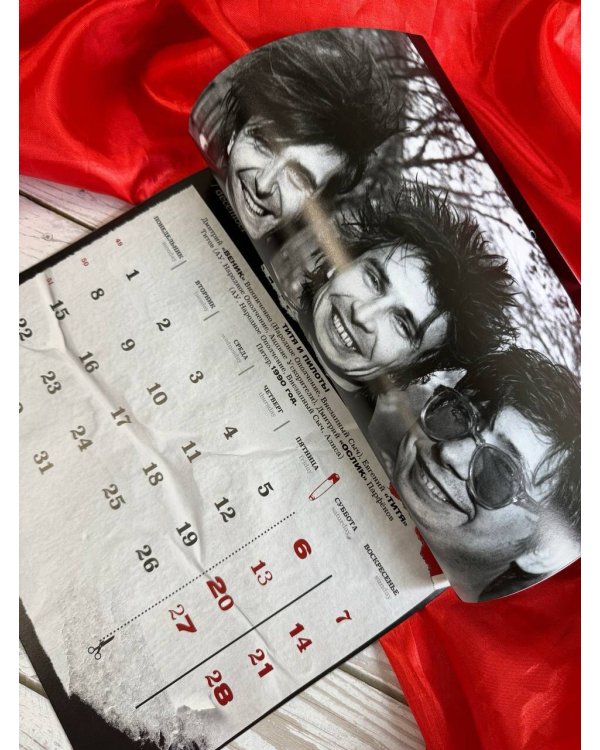 Русский панк. Андрей "Свин" Панов, Егор Летов, Александр "Рикошет" Аксёнов, Алекс Оголтелый, Евгений "Ай" Фёдоров, Янка Дягилева и другие. Календарь на 2025 год