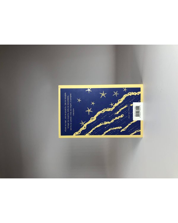 Комплект книга + блокнот: "Флоренс Адлер плавает вечно" и тематический блокнот "Море и звезды"