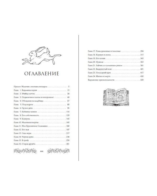 Брусничное Солнце