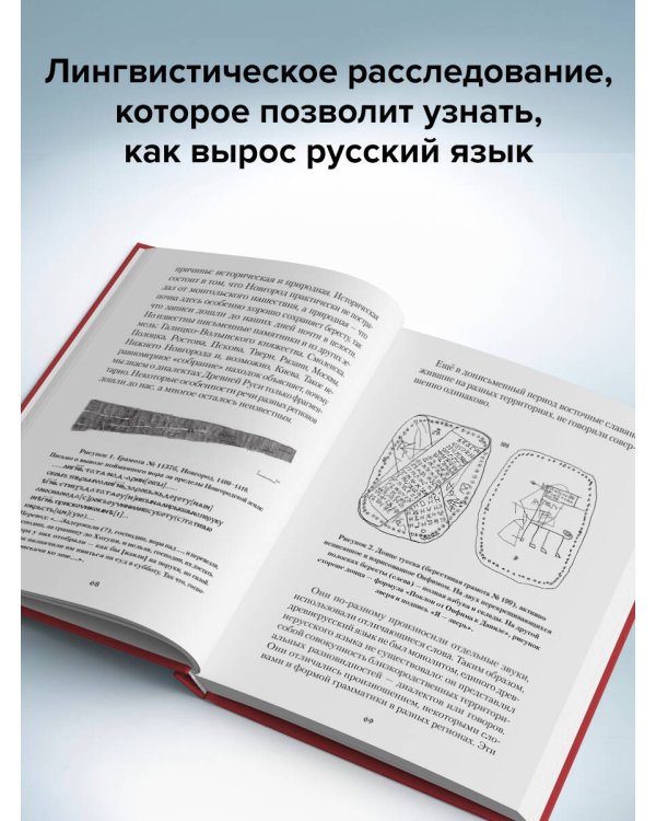 Зри в корень! Из чего "растут" слова, или Как верблюд оказался слоном, а букет — лесом?