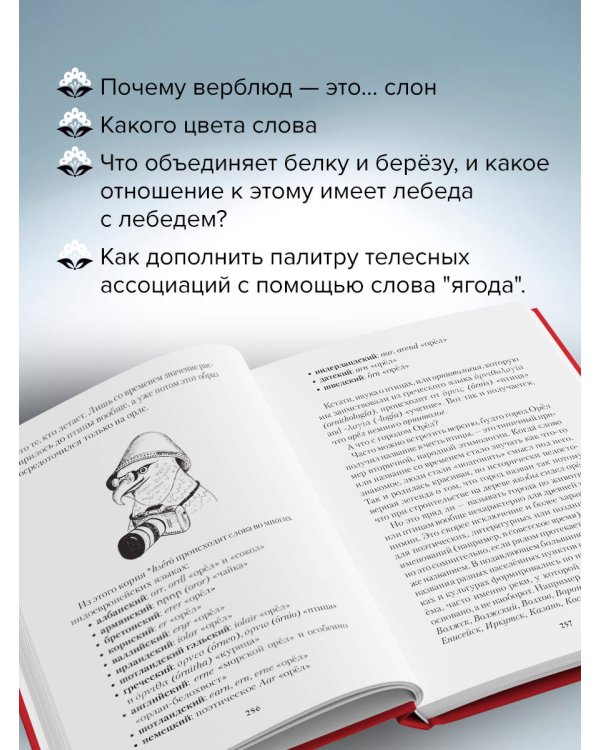 Зри в корень! Из чего "растут" слова, или Как верблюд оказался слоном, а букет — лесом?
