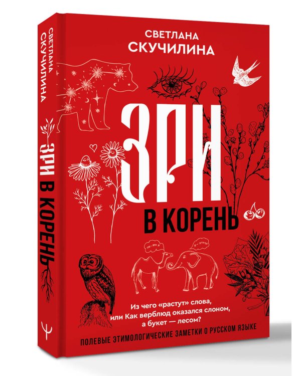 Зри в корень! Из чего "растут" слова, или Как верблюд оказался слоном, а букет — лесом?