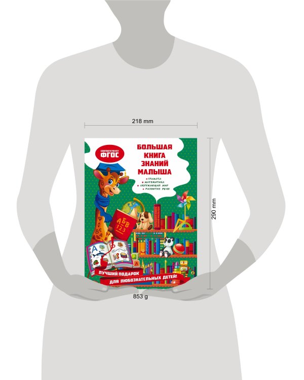 Большая книга знаний малыша