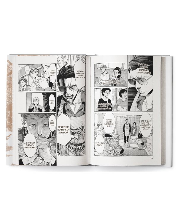 Путь домохозяина. Том 6