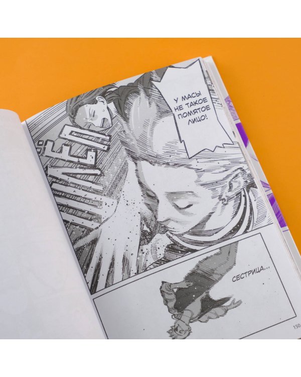 Путь домохозяина. Том 6