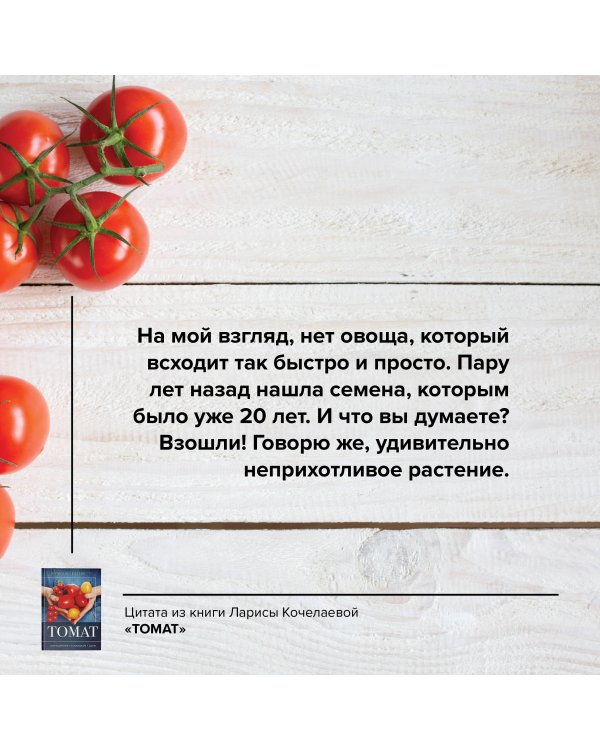 Томат. Выращиваем, ухаживаем и едим