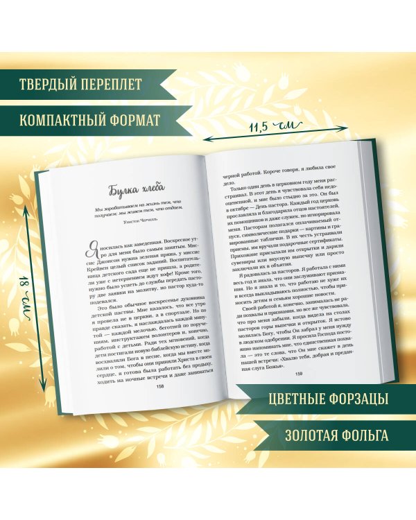 Куриный бульон для души. Истории о счастье (подарочное оформление)