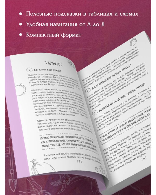 Шпаргалка садовода. 100 главных советов по выращиванию плодовых и ягодных культур