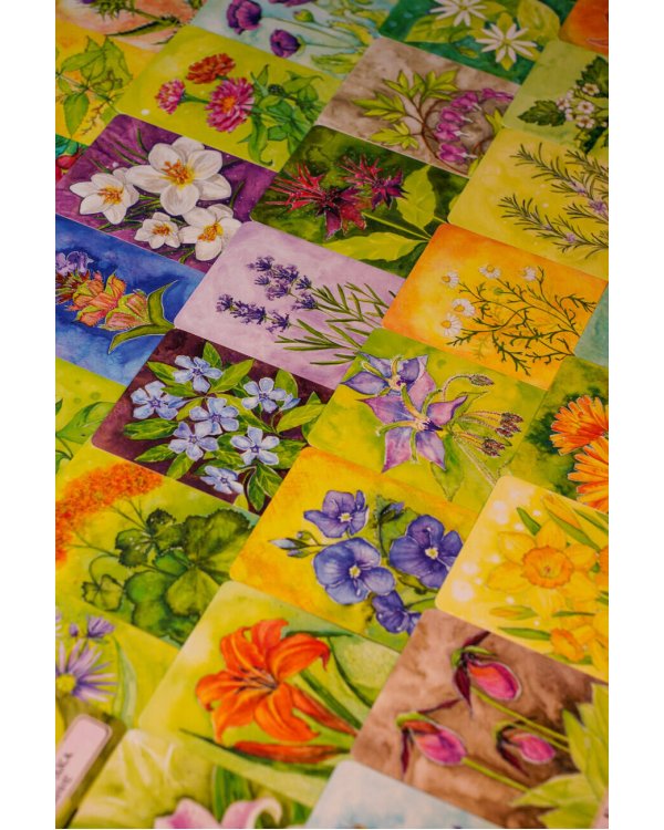 Цветы души. Оракул. Таро, гадания и знаки