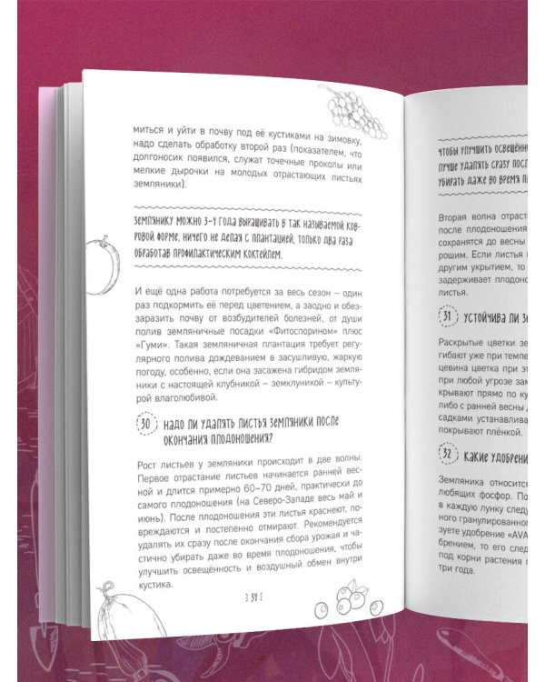 Шпаргалка садовода. 100 главных советов по выращиванию плодовых и ягодных культур