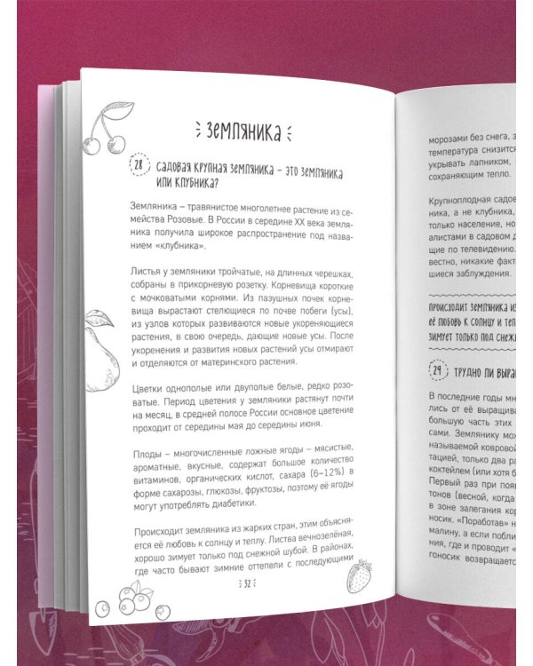 Шпаргалка садовода. 100 главных советов по выращиванию плодовых и ягодных культур