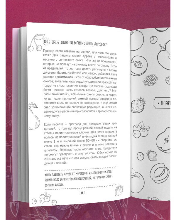 Шпаргалка садовода. 100 главных советов по выращиванию плодовых и ягодных культур