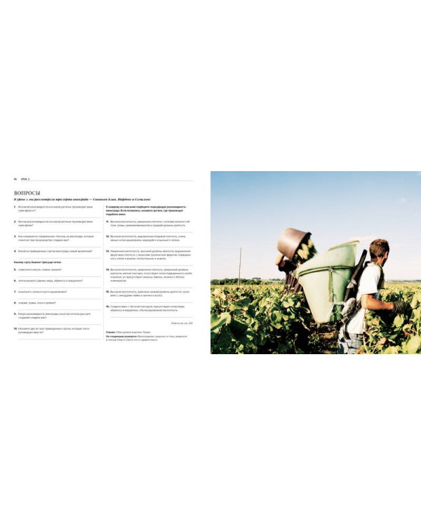 Дегустация как метод познания. Винный курс с лирическими отступлениями