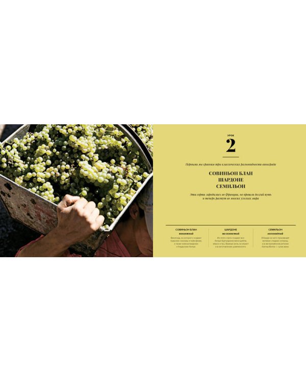 Дегустация как метод познания. Винный курс с лирическими отступлениями