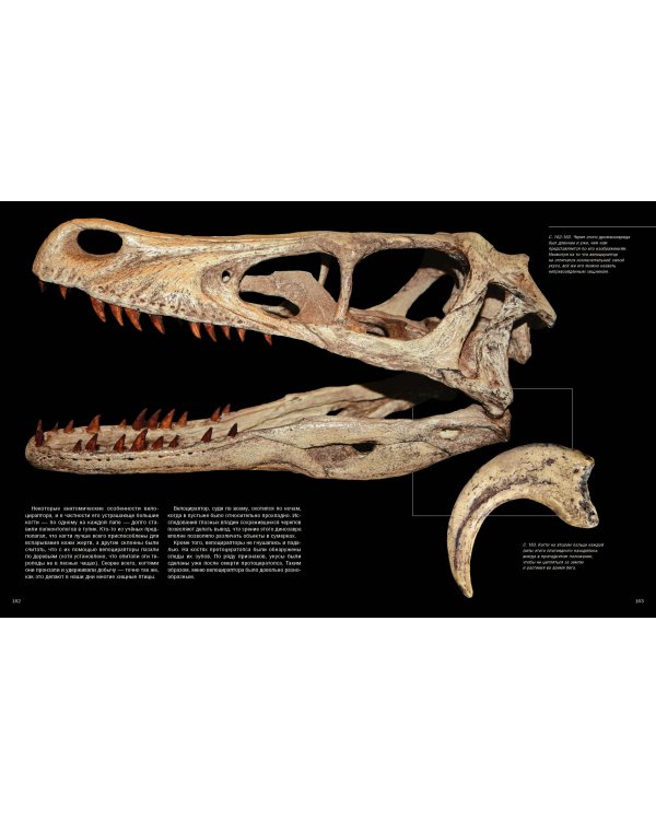 Динозавры. Профили затерянного мира. Энциклопедия