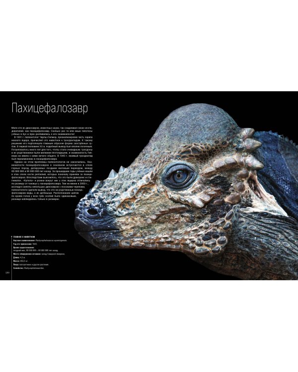 Динозавры. Профили затерянного мира. Энциклопедия