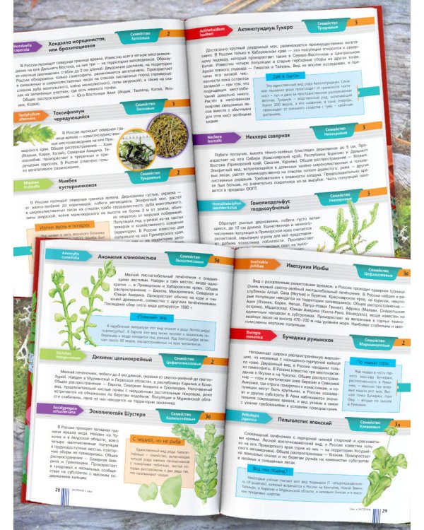 Красная книга России. Растения Грибы Лишайники