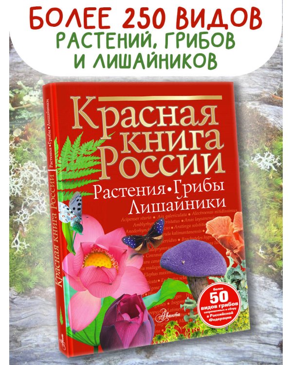 Красная книга России. Растения Грибы Лишайники