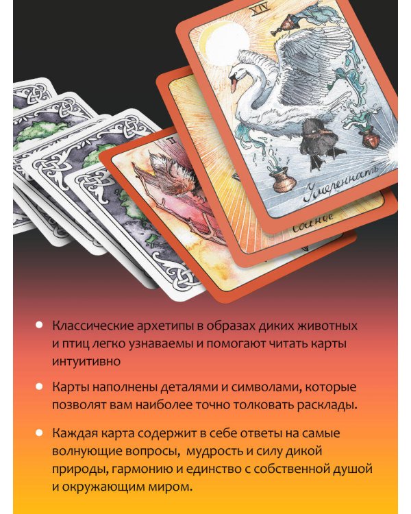The Wild Dark Tarot. Дикое темное таро
