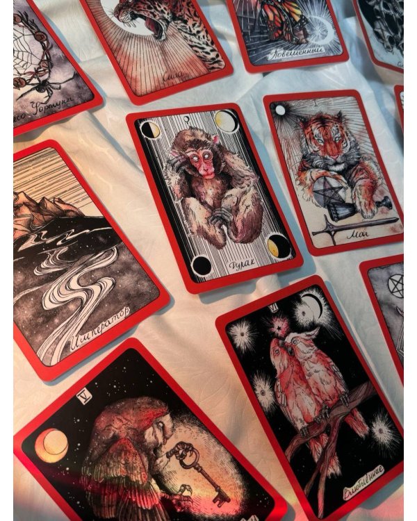 The Wild Dark Tarot. Дикое темное таро