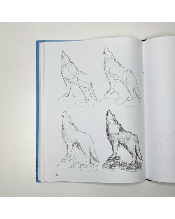 Суперкурс по рисованию для продвинутых