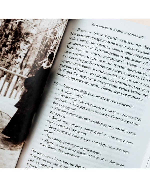 Подлинная история Константина Левина