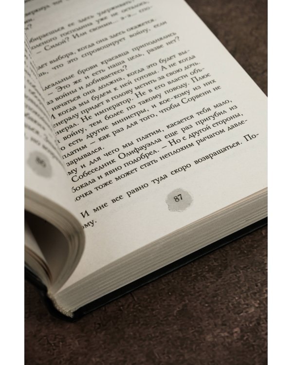 В пепел. Шпион