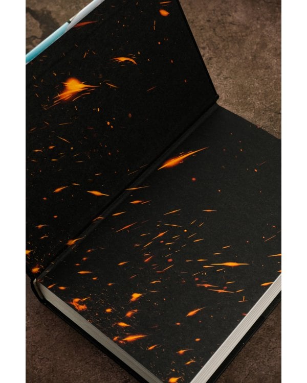 В пепел. Шпион