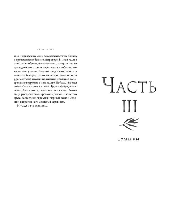 Железный меч (#2)