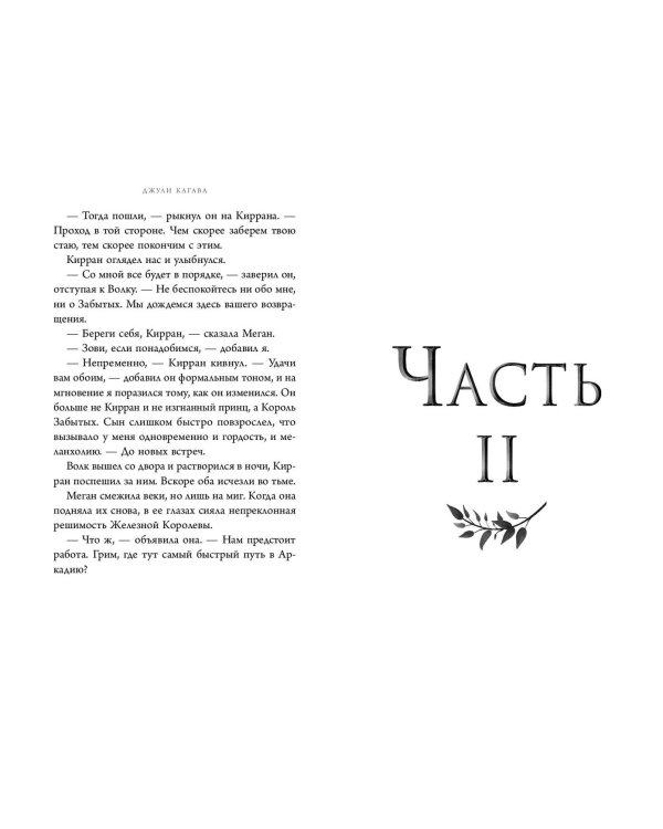 Железный меч (#2)