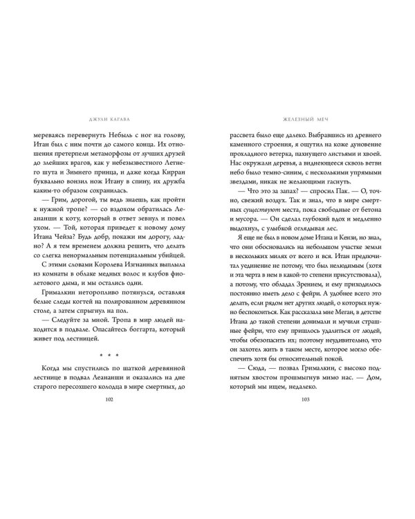 Железный меч (#2)