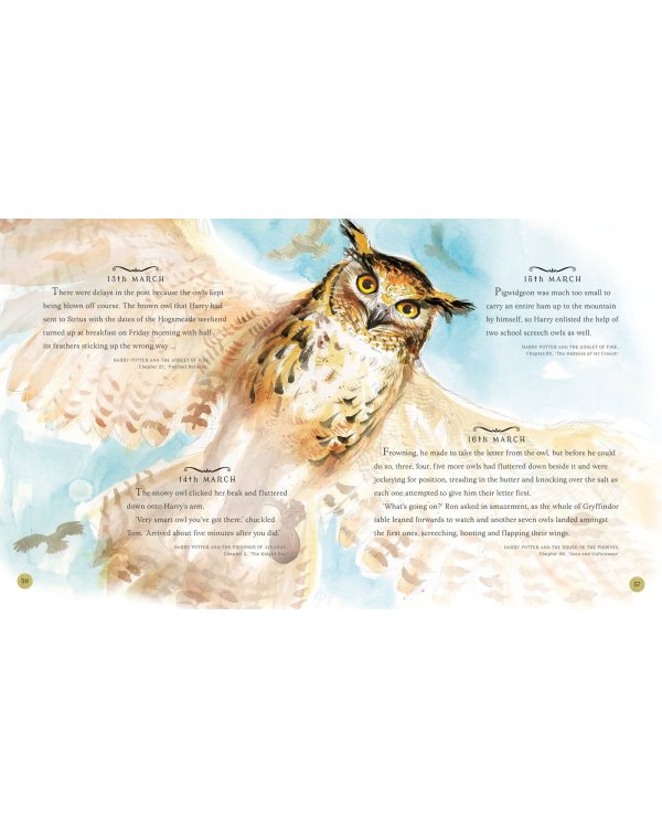 Harry Potter - a Magical Year The Illustrations of Jim Kay (J. K. Rowling) Гарри Поттер Волшебный год (Джоан Роулинг) / Книги на английском языке