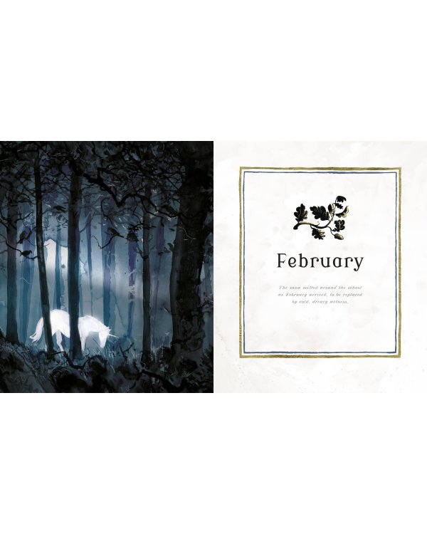 Harry Potter - a Magical Year The Illustrations of Jim Kay (J. K. Rowling) Гарри Поттер Волшебный год (Джоан Роулинг) / Книги на английском языке