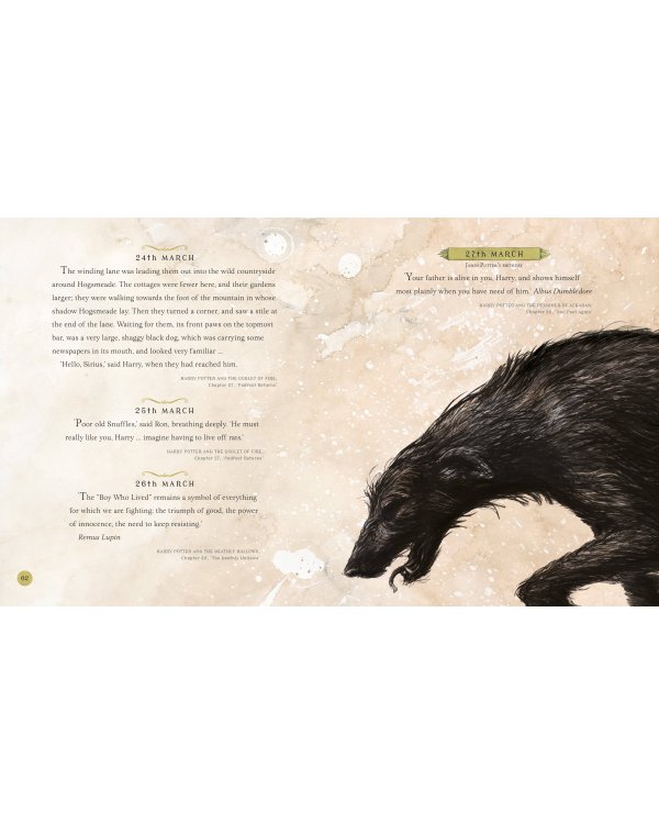 Harry Potter - a Magical Year The Illustrations of Jim Kay (J. K. Rowling) Гарри Поттер Волшебный год (Джоан Роулинг) / Книги на английском языке