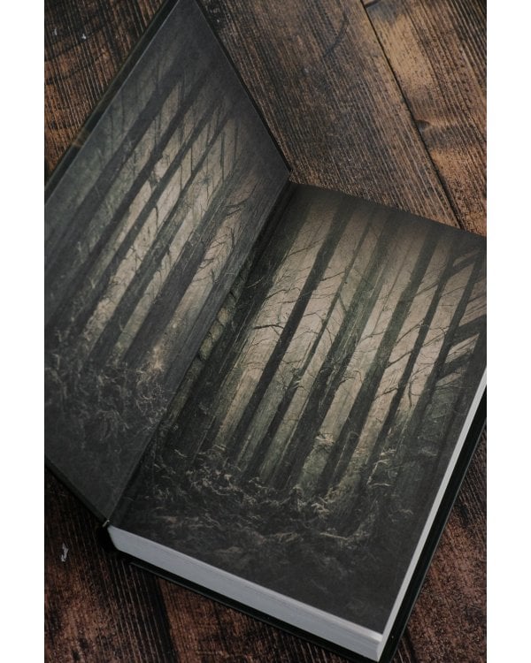 Первый феникс