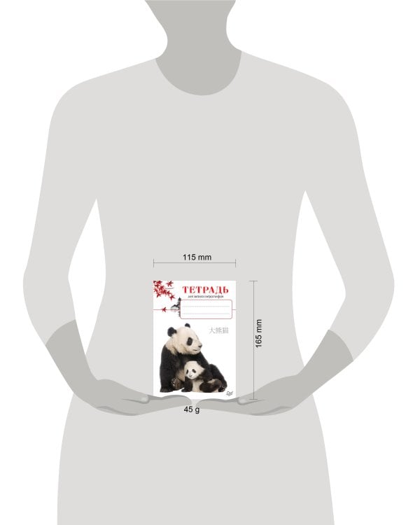 Тетрадь для записи иероглифов_Панды