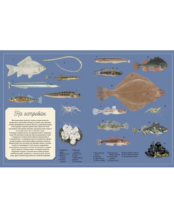 Муми-тролли на рыбалке