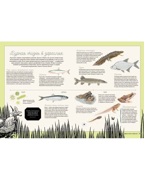 Муми-тролли на рыбалке