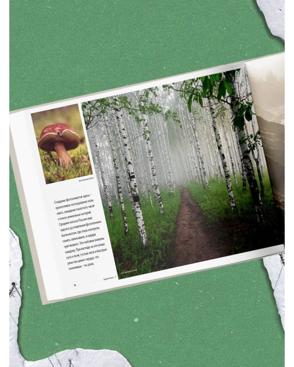 Неповторимая Россия. Природное наследие нашей страны в фотографиях путешественников Nature Photo Team