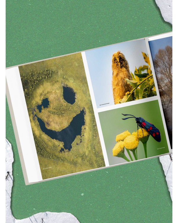 Неповторимая Россия. Природное наследие нашей страны в фотографиях путешественников Nature Photo Team