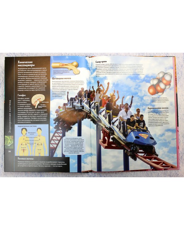 Тело человека. Виртуальная реальность