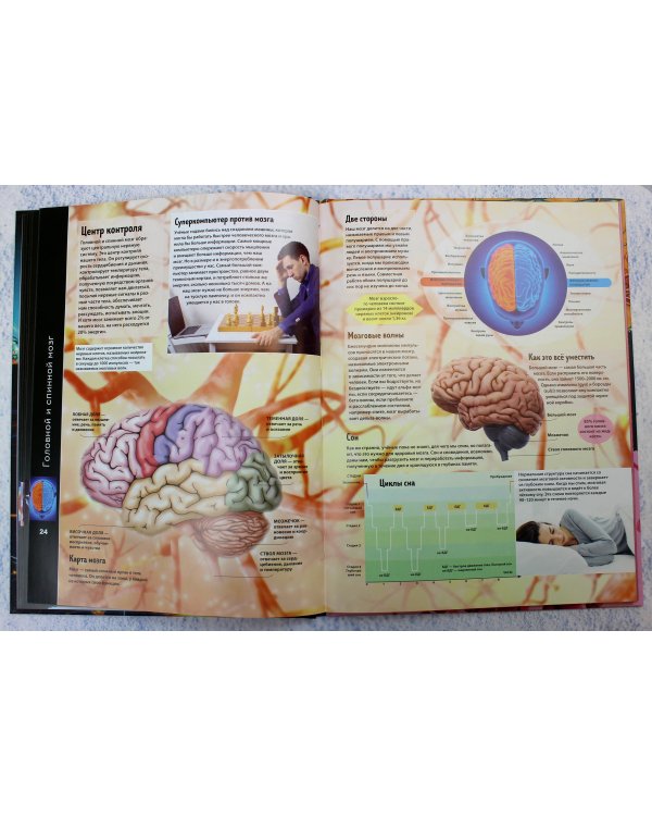 Тело человека. Виртуальная реальность