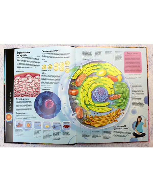 Тело человека. Виртуальная реальность