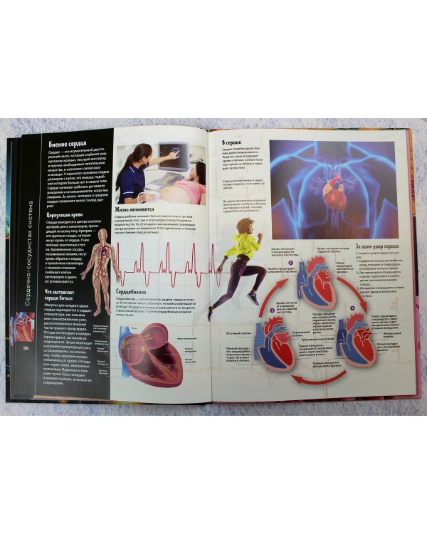 Тело человека. Виртуальная реальность