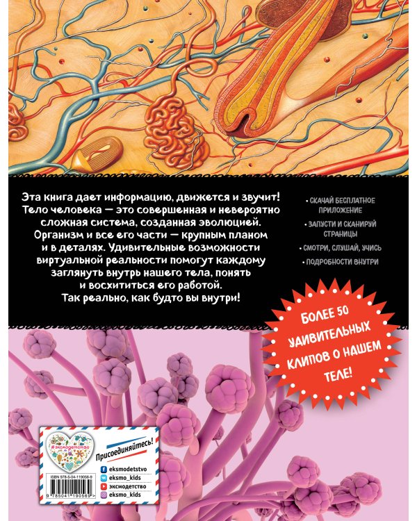 Тело человека. Виртуальная реальность